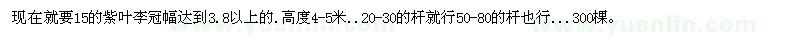 求購(gòu)紫葉李