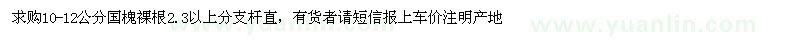求購10-12公分國槐