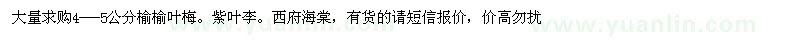 求購4--5公分榆葉梅。紫葉李。西府海棠
