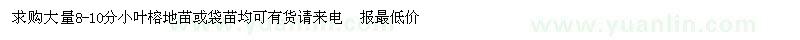 求購大量8-10分小葉榕地苗或袋苗
