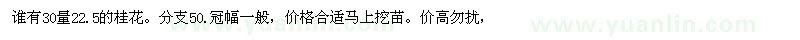 求購30量22.5的桂花。分支50.冠幅一般