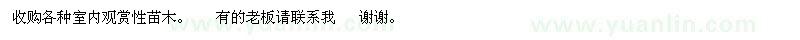 求購各種室內(nèi)觀賞性苗木