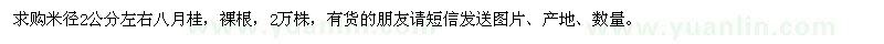 求購米徑2公分左右八月桂