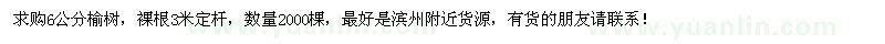 求購(gòu)6公分榆樹2000棵