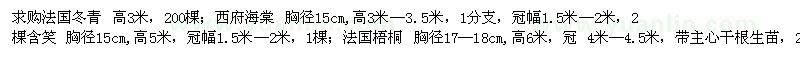 求購法國冬青、西府海棠、含笑、法桐