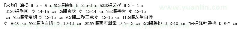 求購(gòu)油松 檜柏 云杉 垂柳 合歡樹(shù) 欒樹(shù) 元寶楓 二喬玉蘭 毛白楊