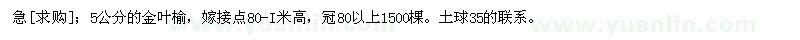 求購(gòu)5公分的金葉榆，嫁接點(diǎn)80-I米高