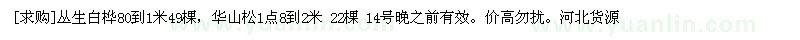 求購叢生白樺80到1米，華山松1點8到2米