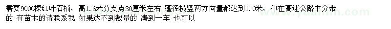 求購9000棵紅葉石楠，高1.6米分支點30厘米左右