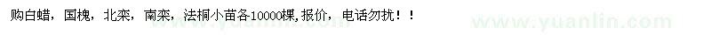 求購白蠟，國槐，北欒，南欒，法桐小苗各10000棵