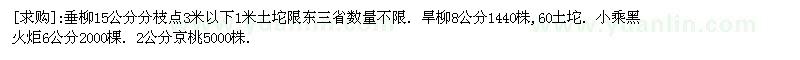 求購垂柳 旱柳 小乘黑火炬