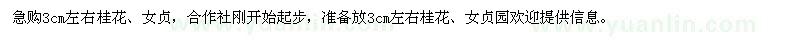求購(gòu)3cm左右桂花、女貞