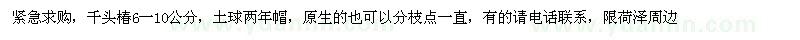 求購(gòu)千頭椿