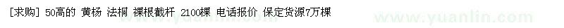 求購50高的 黃楊 法桐 裸根截桿 2100棵