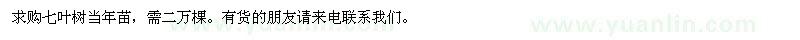 求購(gòu)七葉樹小苗