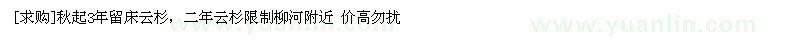 求購秋起3年留床云杉，二年云杉