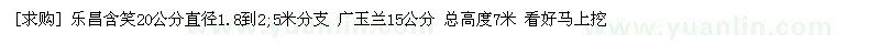 求購樂昌含笑20公分 廣玉蘭15公分