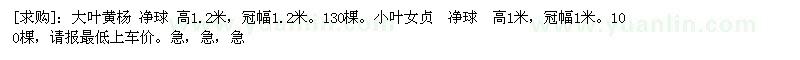 求購大葉黃楊 、小葉女貞