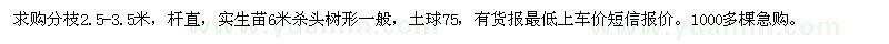 求購黃山欒12.5公分以上