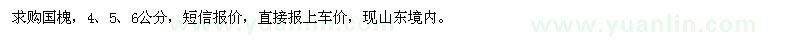 求購4,5,6公分國槐