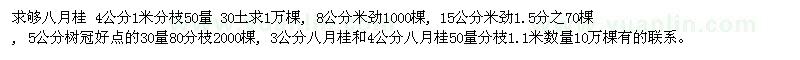 求購八月桂