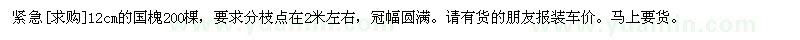 求購12cm的國槐200棵