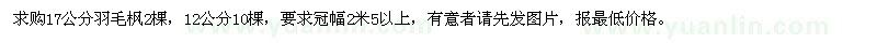 求購17cm羽毛楓2棵,12cm10棵