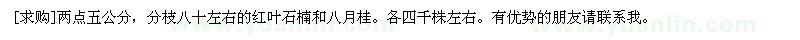 求購(gòu)兩點(diǎn)五公分，分枝八十左右的紅葉石楠和八月桂