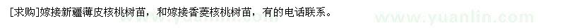 求購嫁接新疆薄皮核桃樹苗，和嫁接香菱核桃樹苗