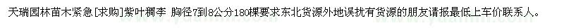 求購紫葉稠李 胸徑7到8公分