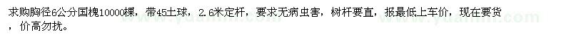 求購6公分國槐10000棵