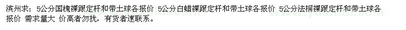 求購5公分國槐、5公分白蠟、5公分法桐