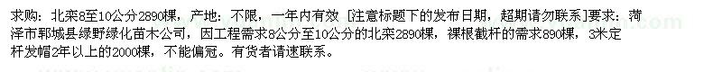 求購北欒8至10公分 2890棵棵