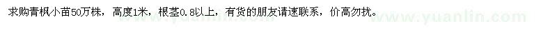 求購(gòu)青楓小苗