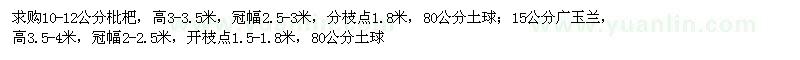 求購(gòu)枇杷、廣玉蘭