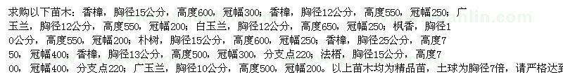 求購香樟　廣玉蘭　楓香　樸樹