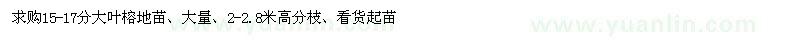 求購15-17分大葉榕地苗