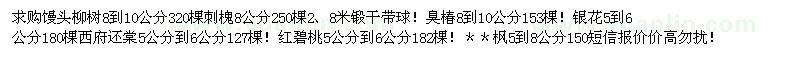 求購饅頭柳樹 刺槐　臭椿　銀花