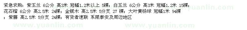 求購紫玉蘭  6公分白玉蘭 6公分