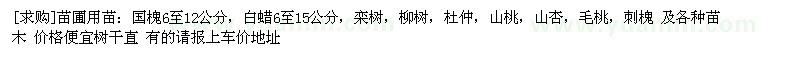 求購苗圃用苗：國槐，白蠟，欒樹，柳樹，杜仲