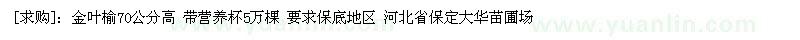 求購(gòu)金葉榆70公分高 帶營(yíng)養(yǎng)杯5萬(wàn)棵