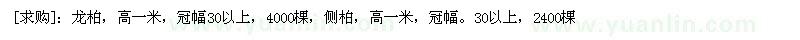 求購龍柏，高一米，側(cè)柏，高一米