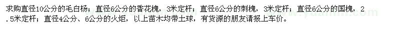求購毛白楊,香花槐,刺槐,國槐,火炬
