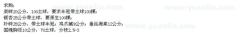 求購欒樹,銀杏,樸樹,雞爪槭,垂絲海棠,國槐