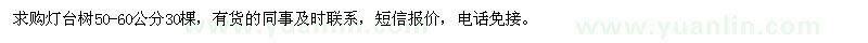 求購燈臺樹50-60公分30棵