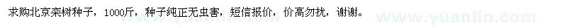 求購北京欒樹種子