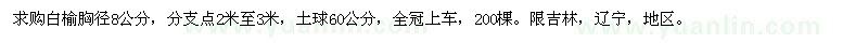 求購白榆胸徑8公分 