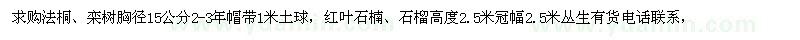 求購法桐、紅葉石楠、欒樹、石榴樹