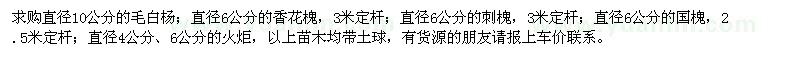 求購毛白楊、香花槐、刺槐、國槐、火炬