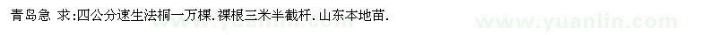 求購四公分速生法桐一萬棵